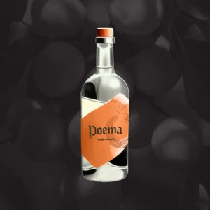 Rakija od Kajsije